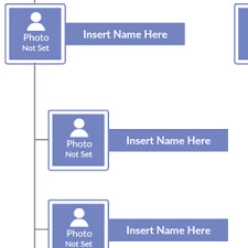 ice organizational chart 2019