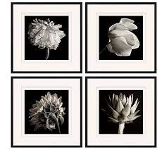 This art piece is a reproduction of an original watercolor Flower Black White Framed Print Pottery Barn