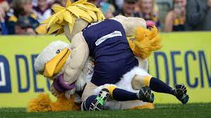 The west coast eagles were founded in 1986, finally a team to represent western australia in the australian football league (afl). Afl West Coast Eagles Fremantle Dockers Mascot Is Same Person