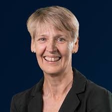 Lawyer DNA includes assistance gene