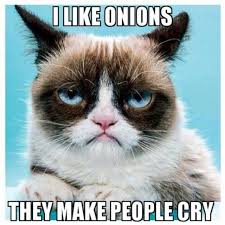 Every morning they insult each other, but one day they start a real fight and neither melanie. Best Funny Quotes Top 40 Funny Grumpy Cat Pictures And Quotes Quotess Bringing You The Best Creative Stories From Around The World