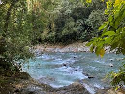 Land For Sale in Uvita | Costa Rica