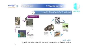 الثالث الإبتدائي الفصل الدراسي الأول علوم دورة حياة الحيوانات 2 Youtube