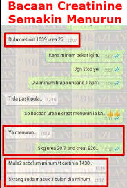 Hanya apabila seseorang itu telah mencapai tahap 4 atau 5 sahaja baru beberapa simptom seperti berikut akan muncul. 2 1 Sakit Buah Pinggang