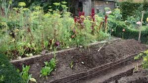 Butte En Permaculture Avec Images Jardin Permaculture Permaculture Potager Permaculture