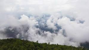 SA Weather Alert! Rain & Strong Winds Headed Your Way! - Imagen principal del artículo
