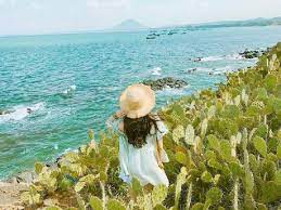 Hãy xách ba lô lên và trải nghiệm vùng đất vi diệu này nhé. Tour Du Lá»‹ch Phu Yen Xá»© Náº«u Toi Tháº¥y Hoa Vang Tren Cá» Xanh 3n2Ä' May Bay
