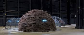 Image result for Mario Merz