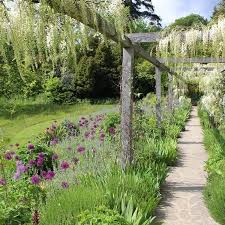 14 Things At Rhs Chelsea Flower Show 2019 Chelsea Garden Chelsea Flower Show Garden Design
