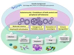 Image result for Autoimmunity
