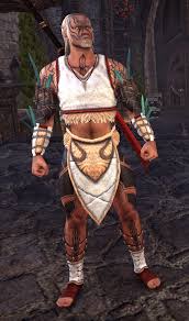 What does it mean to follow jesus; Timbercrow Wanderer Elder Scrolls Online
