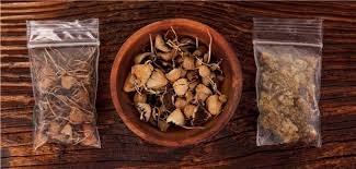 Perhaps the most well know magic mushroom. Forscher Sturzen Sich Auf Magic Mushrooms
