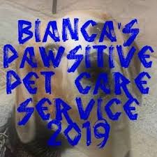 We offer a full service clinic that comes directly to your home. Bianca S Pawsitive Pet Care Service Home Facebook