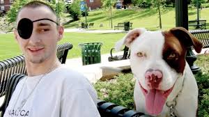 The results are, at the same time, hilarious, warm. Why Dogs Look Like Their Owners