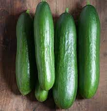 Zucchini or zucchinis), courgette (/kʊərˈʒɛt/; Diva Cucumber Seed Johnny S Selected Seeds Cucumber Seeds Vertical Vegetable Gardens Cucumber Beetles
