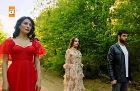 Süreç film imzalı dizinin yönetmenliğini yıldız hülya bilban üstlenirken, senaryosunu sema ali erol, mahir erol ve özgül türküler akad kalame alıyor. Kalp Yarasi Dizisi Oyunculari Kadrosu Konusu Baslama Tarihi Atv Dizi Oyuncu