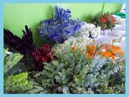 Sells fresh cut flowers to retail floral related businesses. T1olnqbxdttaqm