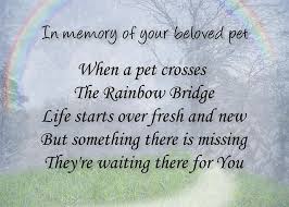  Rainbow Bridge For Dead Pets Recent Photos The Commons Getty Collection Galleries World Map App Pet Loss Quotes Rainbow Bridge Pet Loss