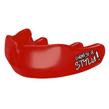 Image result for ochrana chrupu