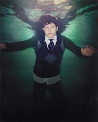 Bildergebnis für Anthony Goicolea