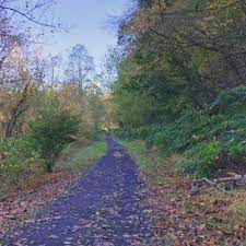 More Than 678 000 Awarded To Expand Wv S Hatfield Mccoy Trail System Wv News Wvnews Com
