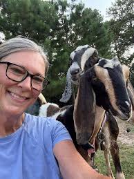 Introduction to Harry Potter Collecting Community