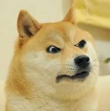 The meme typically consists of a picture of a shiba inu dog accompanied by multicolored text in comic sans font in the foreground. Angry Doge Blank Meme Template Cute Memes Animal Memes Doge Meme