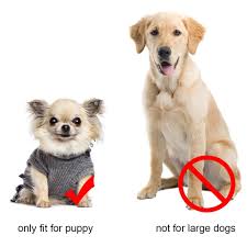 Winsoon Dog Australia Boots Pet Antiskid Shoes Winter Warm Skidproof Sneakers Paw Protectors 4pcs Set Size 2 Light Brown You Can Fin Paw Protector Dogs Pets