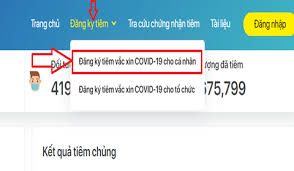 Thông qua chiến dịch, bộ y tế kỳ vọng hết năm 2021 sẽ tiêm vaccine cho tối thiểu 50% người dân từ 18 tuổi trở lên, và hết quý i/2022 tiêm được hơn 70% dân số. HÆ°á»›ng Dáº«n Ä'Äƒng Ky Tiem Váº¯c Xin Covid 19 Online Cho NgÆ°á»i Dan