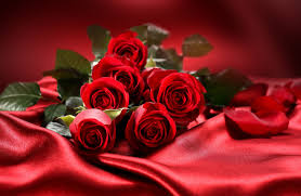 red roses on the red silk beautiful