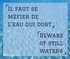 Se méfier de l'eau qui dort. Learn French And Ace Your Next French Exam The Right Way Efrench Tuition Online French Proverbs Idioms And Proverbs Learn French
