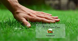 You need to consider what region of the country you live in, the climate, grass types having a lawn care schedule that is right for your lawn will ensure you cover all the bases and don't miss a critical step. All Information About Diy Lawn Care The Ultimate Guide