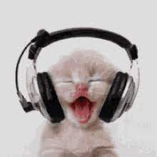 The best gifs are on giphy. Cat Music Gifs Tenor