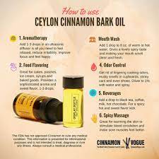 How To Use How To Use Ceylon Cinnamon Bark Oil Cinnamon Vogue