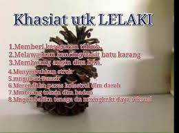 Tugasnya tukarkan karbo, lemak dan protein kepada energi untuk tubuh. Nenas Batu Reviews Facebook