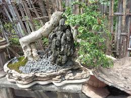 Bonsai Serut Air Terjun