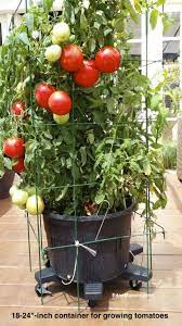 What Is The Best Soil Mix For Container Gardening Container Gardening Vegetables Growing Organic Tomatoes Container Vegetables