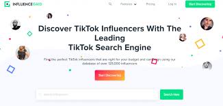 Tiktok creators earn money in various ways: Influencegrid The Top Tiktok Influencer Search Tool