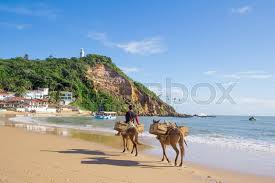 São paulo is the largest city in brazil, with a city population of about 12 million and almost 22 million in its metropolitan region. Morro De Sao Paulo Beach In Brazil Stock Image Colourbox