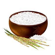 Bol De Riz Illustration Vectorielle Réaliste Vecteurs libres de droits et plus d'images vectorielles de Riz - Céréale - Riz - Céréale, Riz - Aliment de base, Bol et saladier - iStock