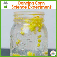 The Corn Experiment That Kids Will LOVE! Dancing Popcorn - Fun with Mama