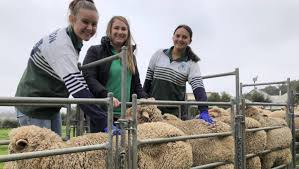 Students Gather In Wagga To Learn About Agricultural Careers The Rural Wagga Wagga Nsw