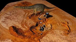Allosaurus berarti kadal aneh dari utara, hidup pada akhir zaman jurasik. Bukan T Rex Ini Jenis Dinosaurus Terbesar Hidup Di Australia