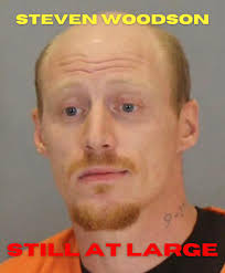 🚨 Update: Fugitive Still