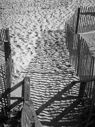 Shadows In The Sand By Teresa Mucha Shadow Mucha Art