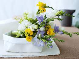 Most pleasant smelling flowers in the world, flowers with most intense fragrance, flowers that widely uses because of pleasant odor. 10 Of The Best Fragrant Flowers Funny How Flowers Do That
