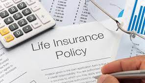 Announcing bonus or investment of premiums. Life Insurance And 5 Things You Need To Know