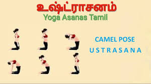 Ustrasana Tamil Camel Pose Yoga Asanas Tamil Youtube