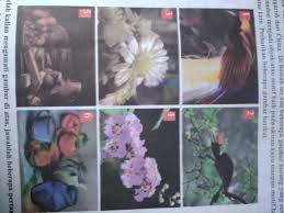 Gambar seni rupa flora fauna dan alam benda. Cermatilah Gambar Flora Fauna Dan Benda Alam Dan Berikan Pendapat Mu Brainly Co Id