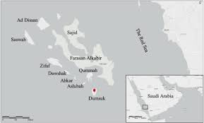 Image result for Microcharis latifolia